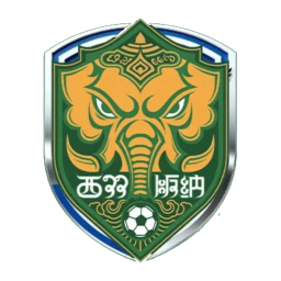西双版纳队